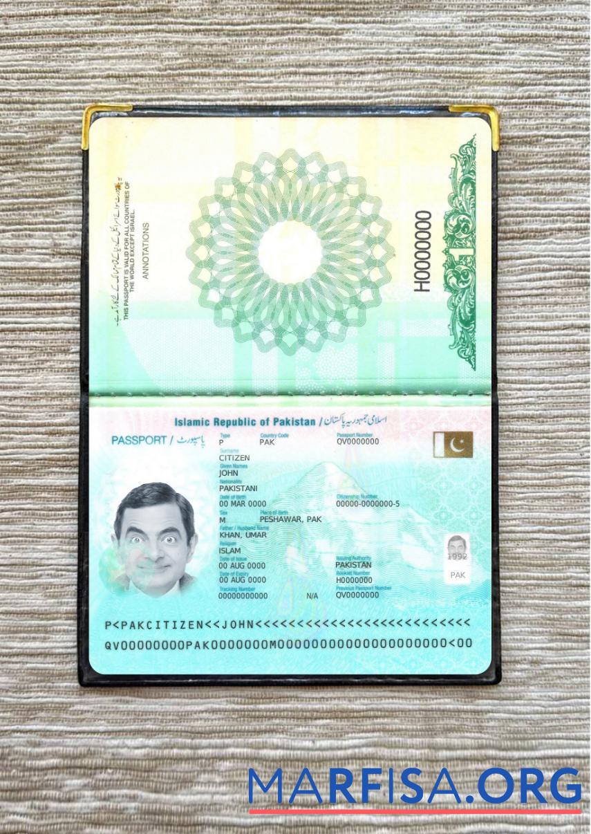 Blank Pakistan passport 2023 present photolook download for verification